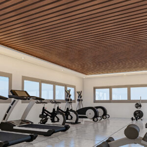 AMENAGEMENT INTERIEUR DE LA SALLE DE GYM